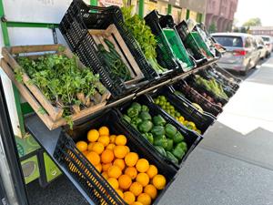 vegetables in crates at Go Fresh Mobile Market